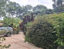 Kigali Bland new house available for rent in Kiyovu  - Image 4