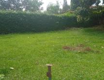 House for sale in Gisozi  - Image 3