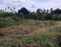 Kigali Industrial land for sale in Gahanga Kicukiro Rwanda - Image 3