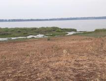 Rwanda Land for sale in Gashora  Access on lake in Bugesera  - Image 1