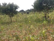 Commercial plot for sale in Nyamata Bugesera Rwanda Town - Image 1