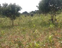 Commercial plot for sale in Nyamata Bugesera Rwanda Town - Image 2