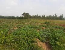 Bugesers Land for Sale in Rilima – Near Bugesera International Airport - Image 1