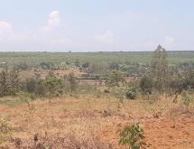 Bugesera  Land for sale in Juru near Bugesera international Airport - Image 4