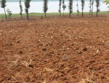 Land for sale in Gashora Bugesera Rwanda Access on lake good location Hot deal - Image 2