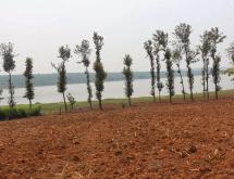 Land for sale in Gashora Bugesera Rwanda Access on lake good location Hot deal - Image 4