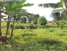 Residential land for sale Rilima near airport of Rwanda Hot deal - Image 1