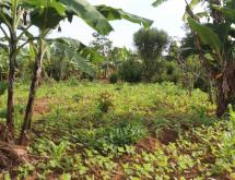 Residential land for sale Rilima near airport of Rwanda Hot deal - Image 2