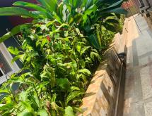 Kigali well furnished studio apartment for rent at good price in Kiyovu  - Image 4