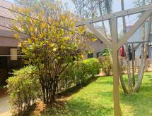 Kigali well furnished studio apartment for rent at good price in Kiyovu  - Image 1