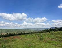 Land for sale in Musha-Rwamagana - Image 2