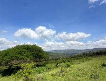 Land for sale in Musha-Rwamagana - Image 3