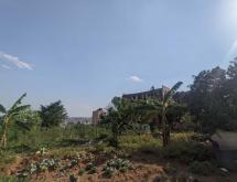 Kigali Residential plot for sale in Kinyinya  - Image 4