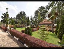Full furnished house for rent in Nyarutarama  - Image 5