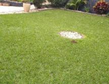 Kigali Spacious house available for rent in Kacyiru  - Image 4