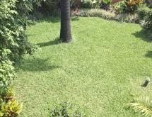 Kigali Fully furnished house available for rent at Kimihurura  - Image 4