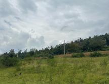 Kigali Nice plots for sale in Nyarugenge on tarmac road  - Image 3