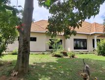 Kigali Pool house available for rent in Kacyiru  - Image 2