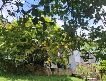 Kigali Semi furnished house available for rent in Kacyiru  - Image 2