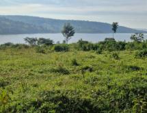Hotel plot for sale in Muhazi lake is Ecotourism Access on lake in Hotel zoning - Image 2