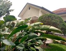 Kibagabaga fully furnished house for rent in Kigali - Image 1