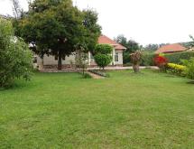 Fully Furnished House for Rent in a Spacious Natural Compound - Image 5