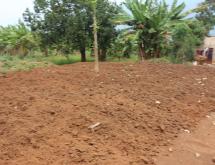 Residential land for sale Juru near airport of Rwanda - Image 2
