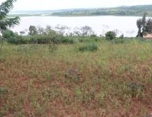 Residential land for sale in Gashora Bugesera Rwanda View of lake Hot deal - Image 1
