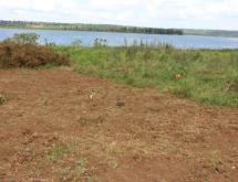 Residential land for sale in Gashora Bugesera Rwanda View of lake Hot deal - Image 4