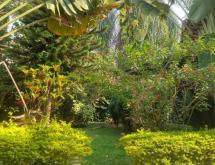 Kigali Semi furnished house available for rent in Kimihurura  - Image 5