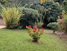 Kigali Unfurnished Bungalow available for rent in Kiyovu  - Image 5