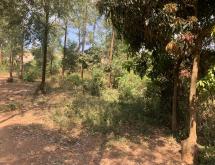Gacuriro Large Residential Plot for Sale in Kigali - Image 5