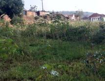 Kigali Prime Plot for Sale in Kacyiru of town and lake access on main road  - Image 2