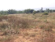 Industrial land for sale in Bugesera near airport of Rwanda  hot deal - Image 2