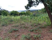 Rwanda Farming Land for Sale in Bugesera – Mayange - Image 5