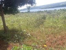 Land for sale in Bugesera RILIMA near airport of Rwanda hot deal access on lake - Image 3
