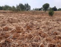 Farming land for sale in Bugesera Mayange Rwanda good deal - Image 1