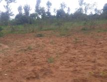 Land for sale in Bugesera RILIMA near airport of Rwanda hot deal  Access on main road  - Image 1