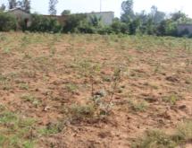 Residential land for sale Juru near airport of Rwanda on Main road  from airport - Image 1