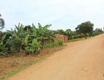 Kigali Commercial land for sale in Nyarugenge Kanyinya  Good deal on top mountain  - Image 2