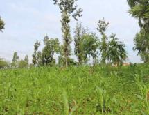 Land for sale in Gashora Bugesera Rwanda Residential and Agriculture - Image 1