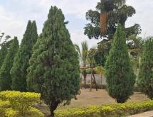 Kigali Unfurnished House for Rent in Kibagabaga - Image 5