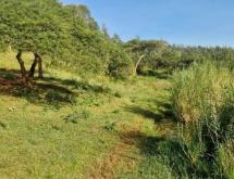 Ecotourism and Hotel plot for sale in Muhazi Rwamagana good deal access on lake - Image 5