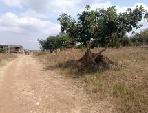 Kigali plot for sale in Kagarama  - Image 5