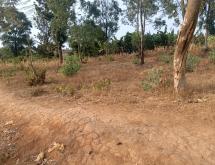 Kigali plot for sale in Kanombe Kicukiro  - Image 3