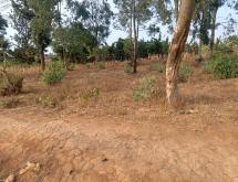 Kigali plot for sale in Kanombe Kicukiro  - Image 4