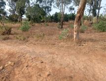 Kigali plot for sale in Kanombe Kicukiro  - Image 5