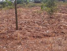 Kigali Residential plot for sale in Busanza Rwanda Hot deal - Image 1