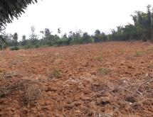 Residential land for sale Juru near airport of Rwanda hot deal near main road from airport - Image 1