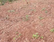 Land for sale in Bugesera Nemba near Industrial area Bugesera Rwanda - Image 4